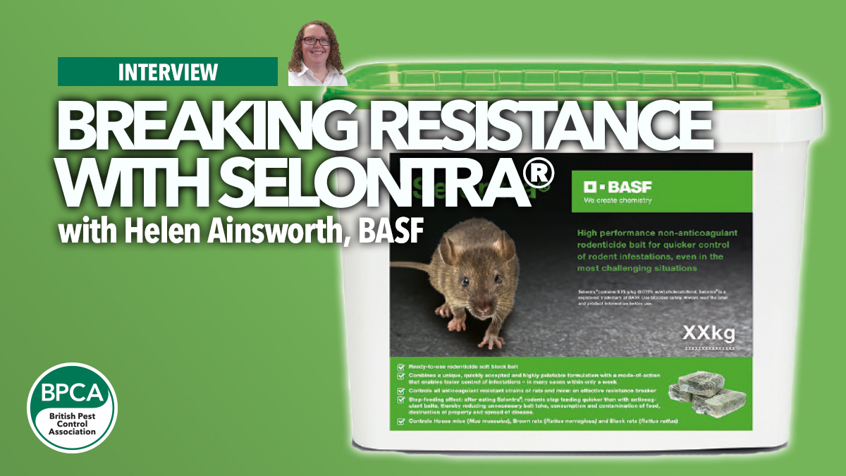 breaking-resistance-with-selontra breaking-resistance-with-selontra